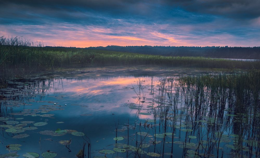В ожидании вечеренго клева