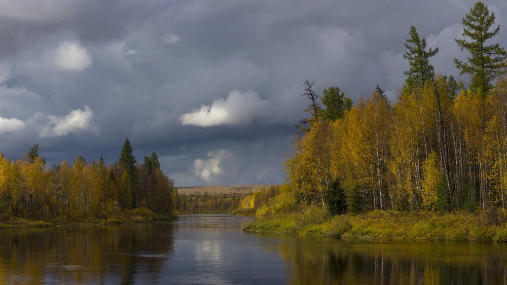 Там где бродят олени