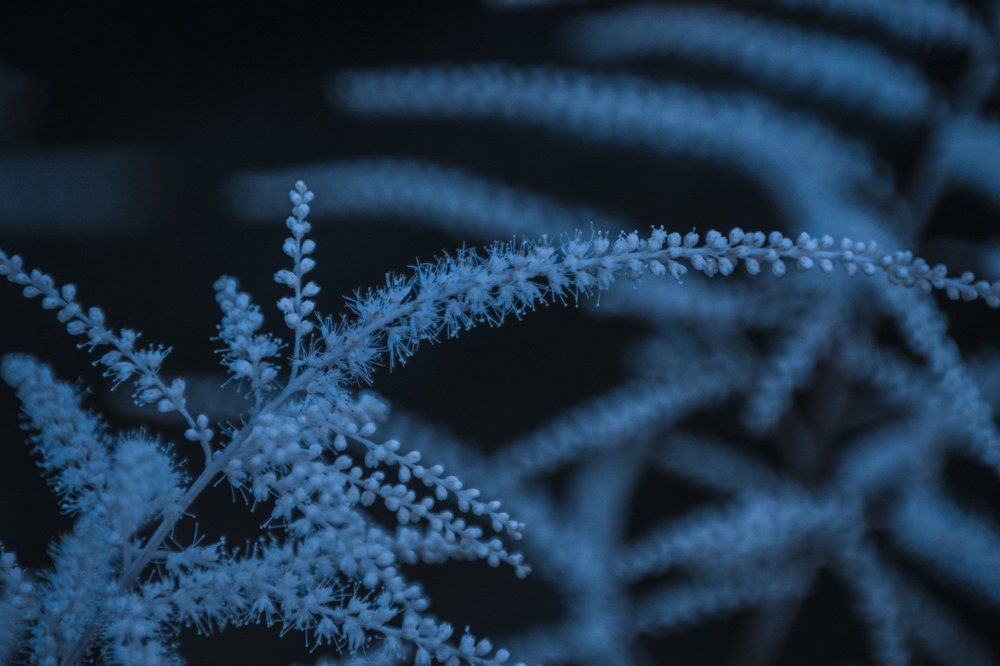 Photograph by Яна Кобелева