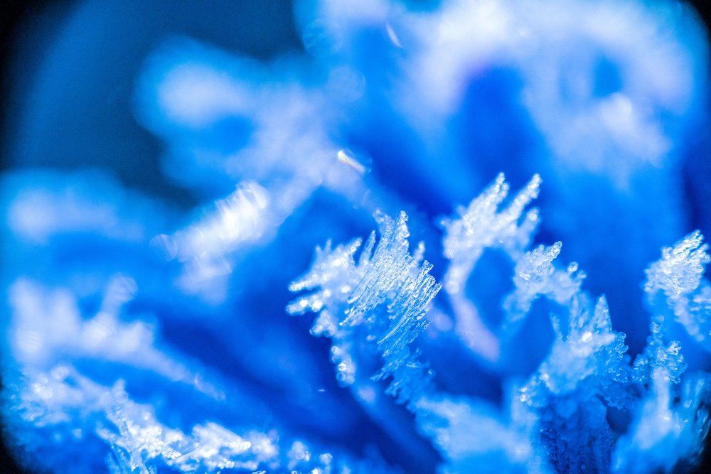 Иней серебристый