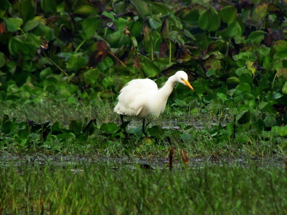 Photograph by Bikram Thakkar