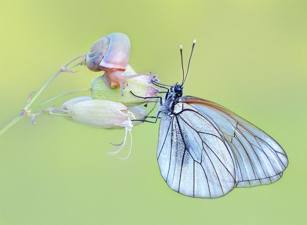 Неожиданная встреча.