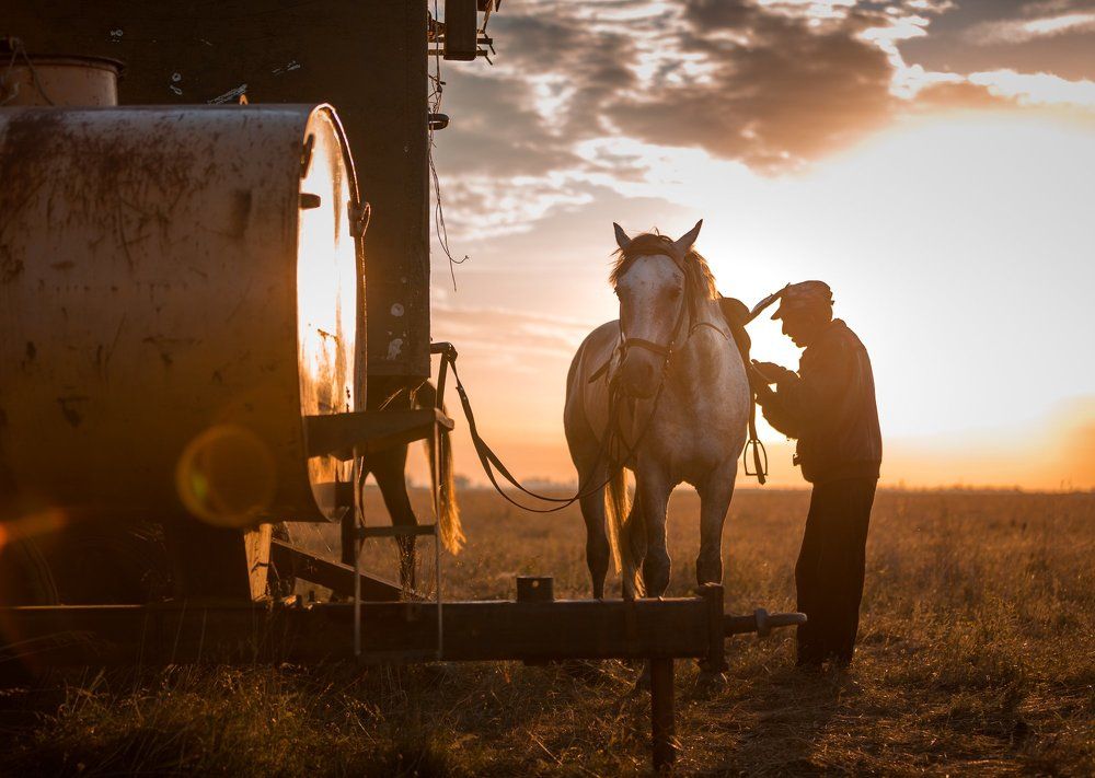 Рассветное поле