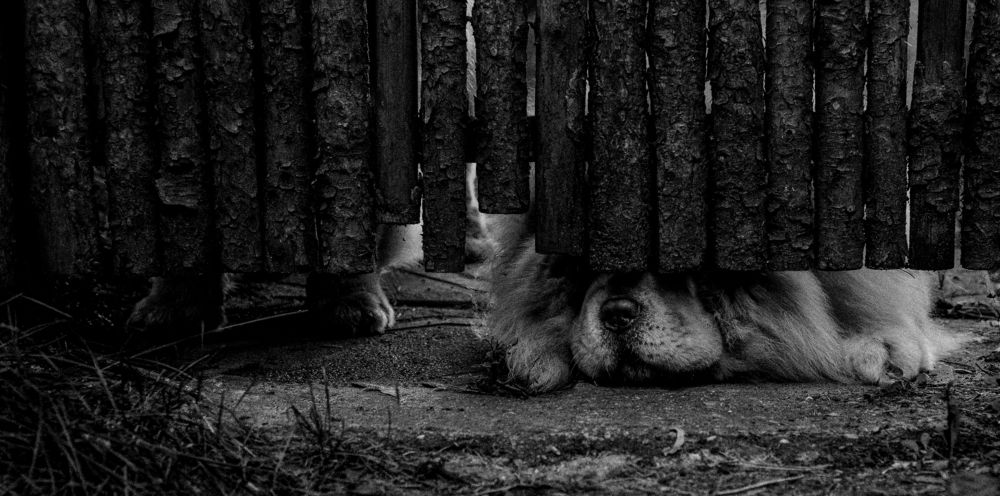 Надежная охрана