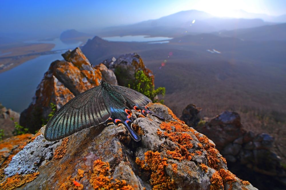 Созерцая Приморский рассвет