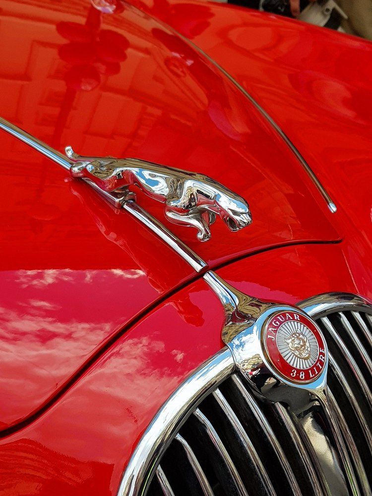 Просто зверь!