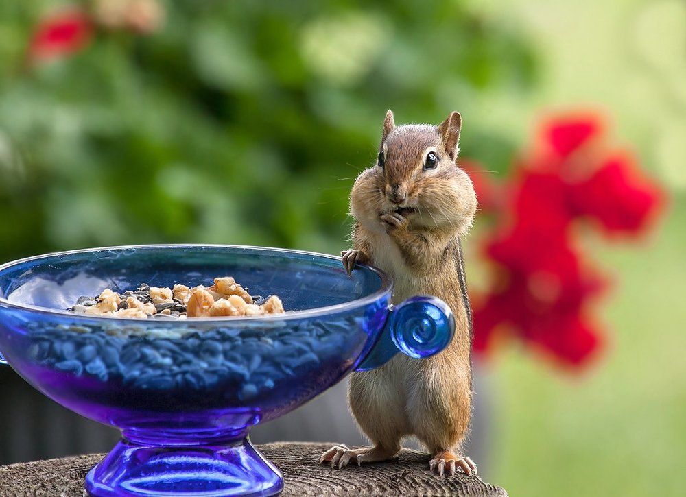 Стесняюсь спросить...Это всё мне?