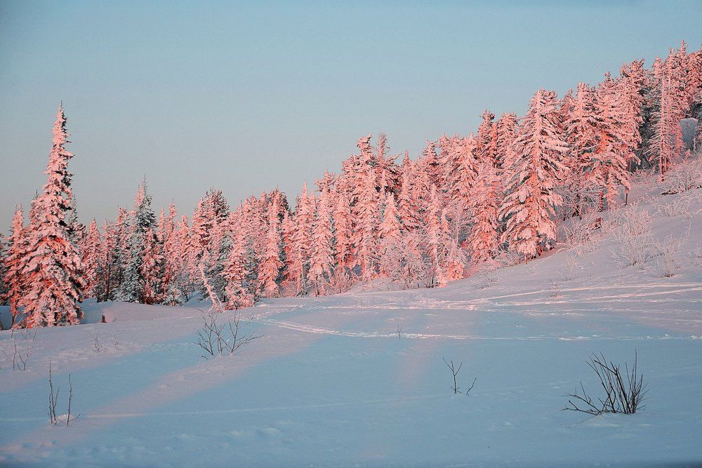 Photograph by Владимир Малевич