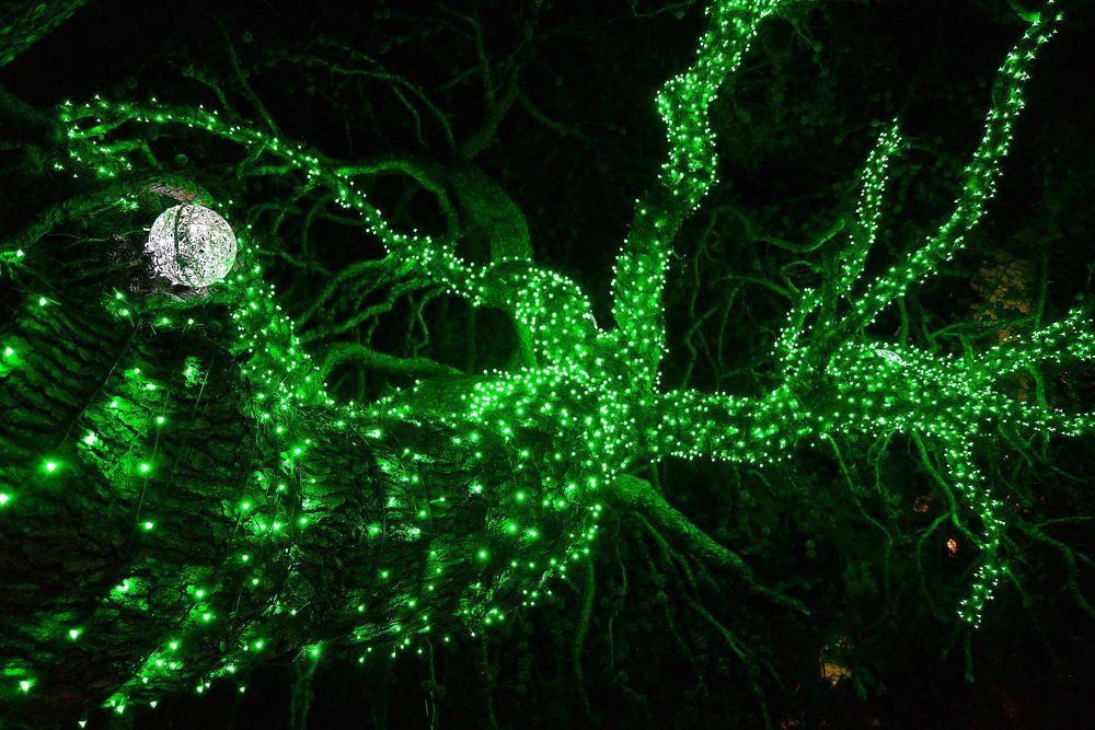 Пандора? Нет, Земля!