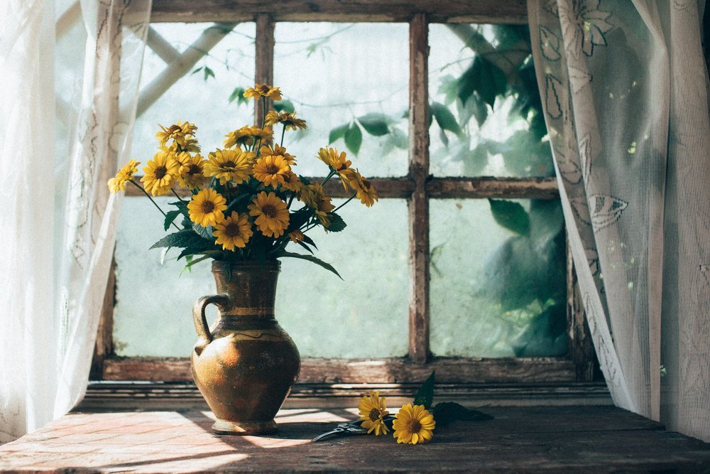 Желтые цветы