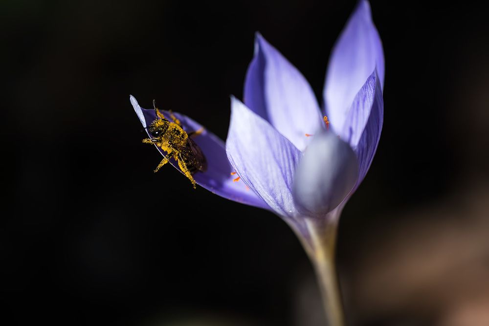 А ведь ещё недавно была осень!