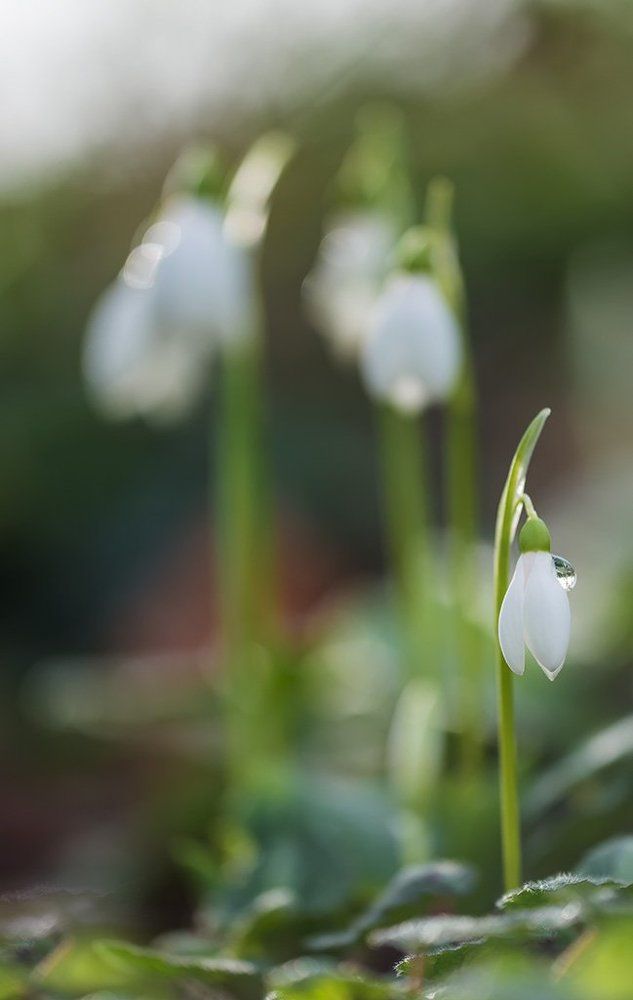 Обидно до слез - не взяли маленького