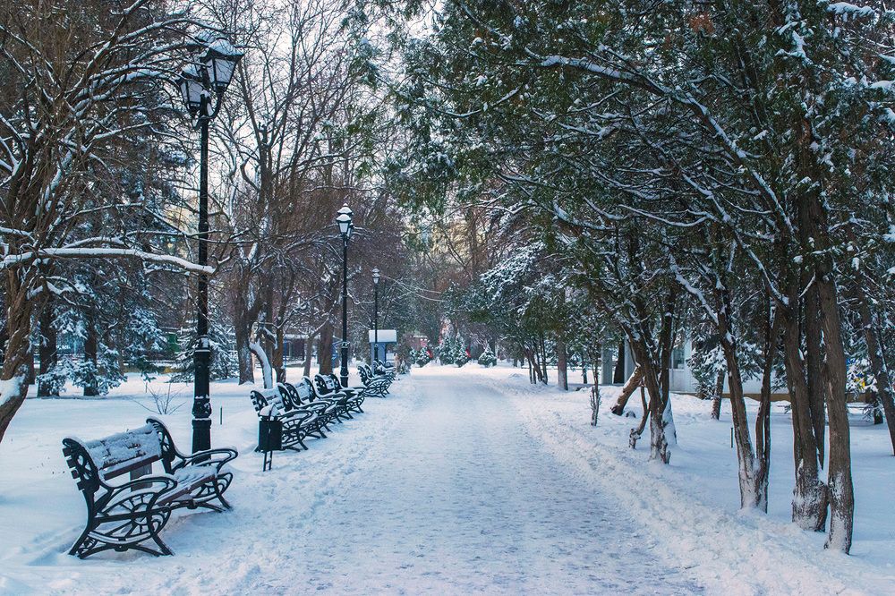 Первый снег