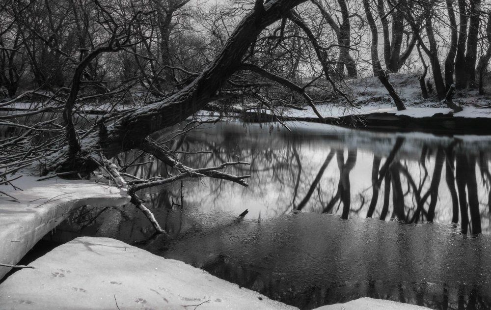 Photograph by Роман Фабричный