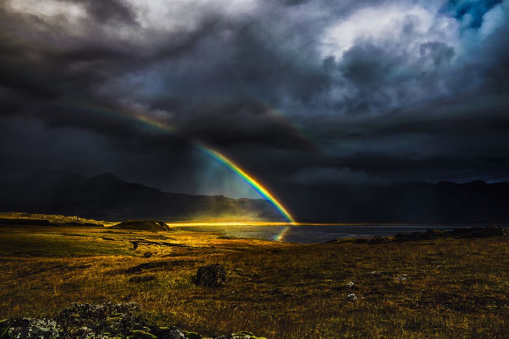 Дорога к свету