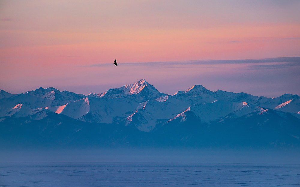 Парящая над восходом