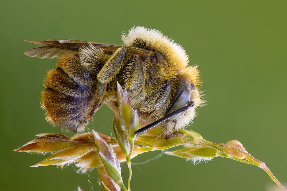 спят усталые малышки