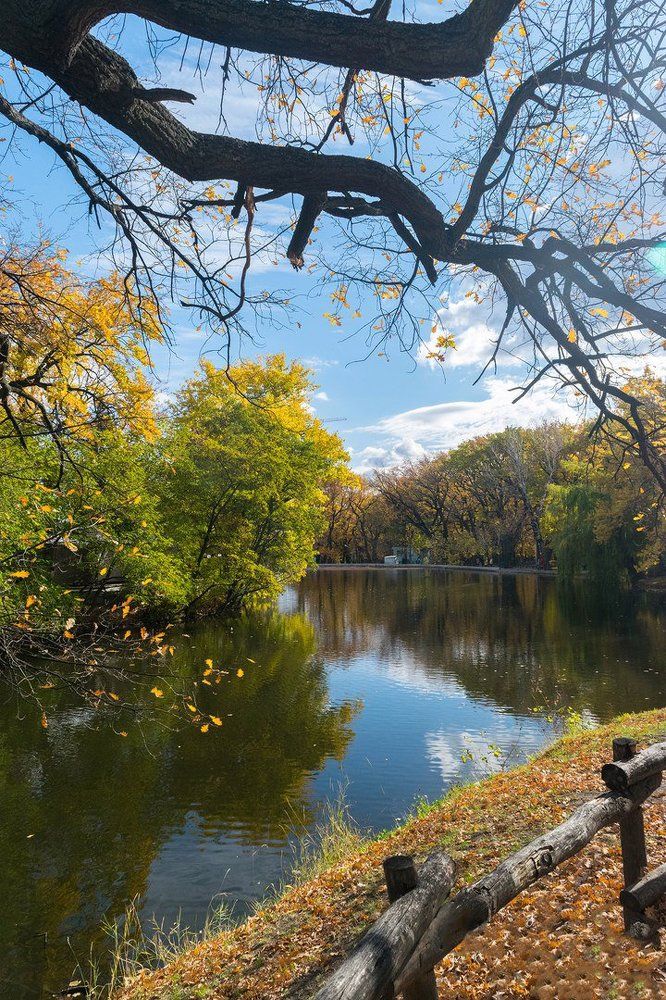 Осень на воде