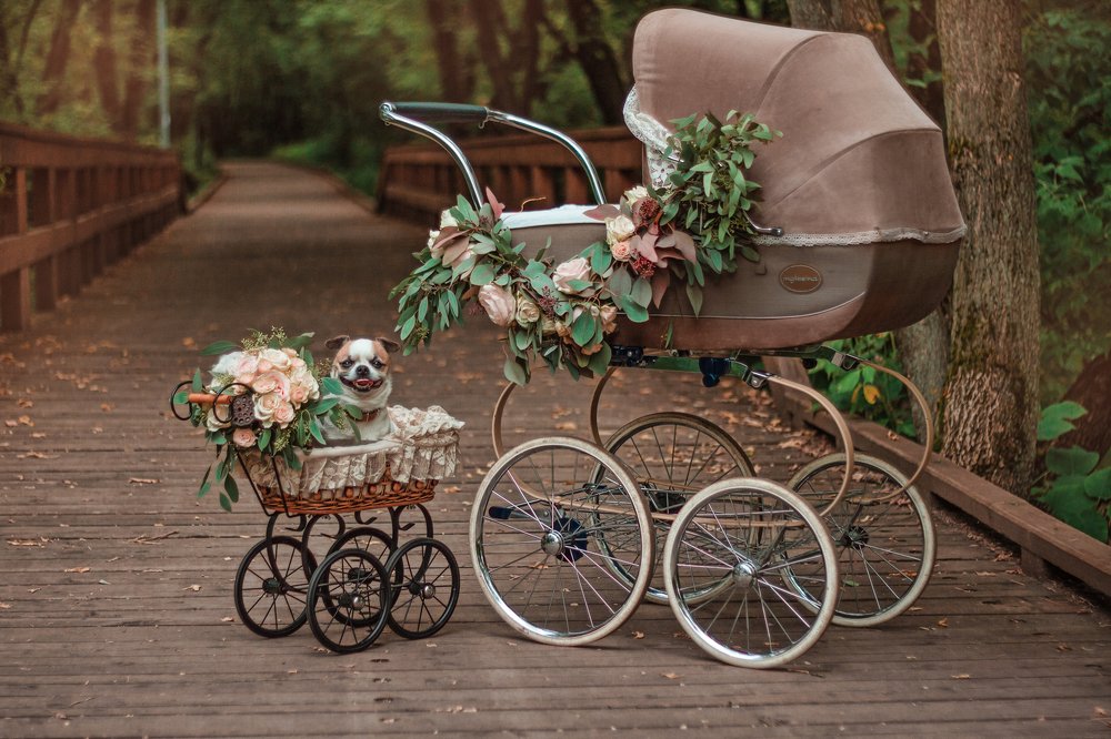 Прогулка с коляской