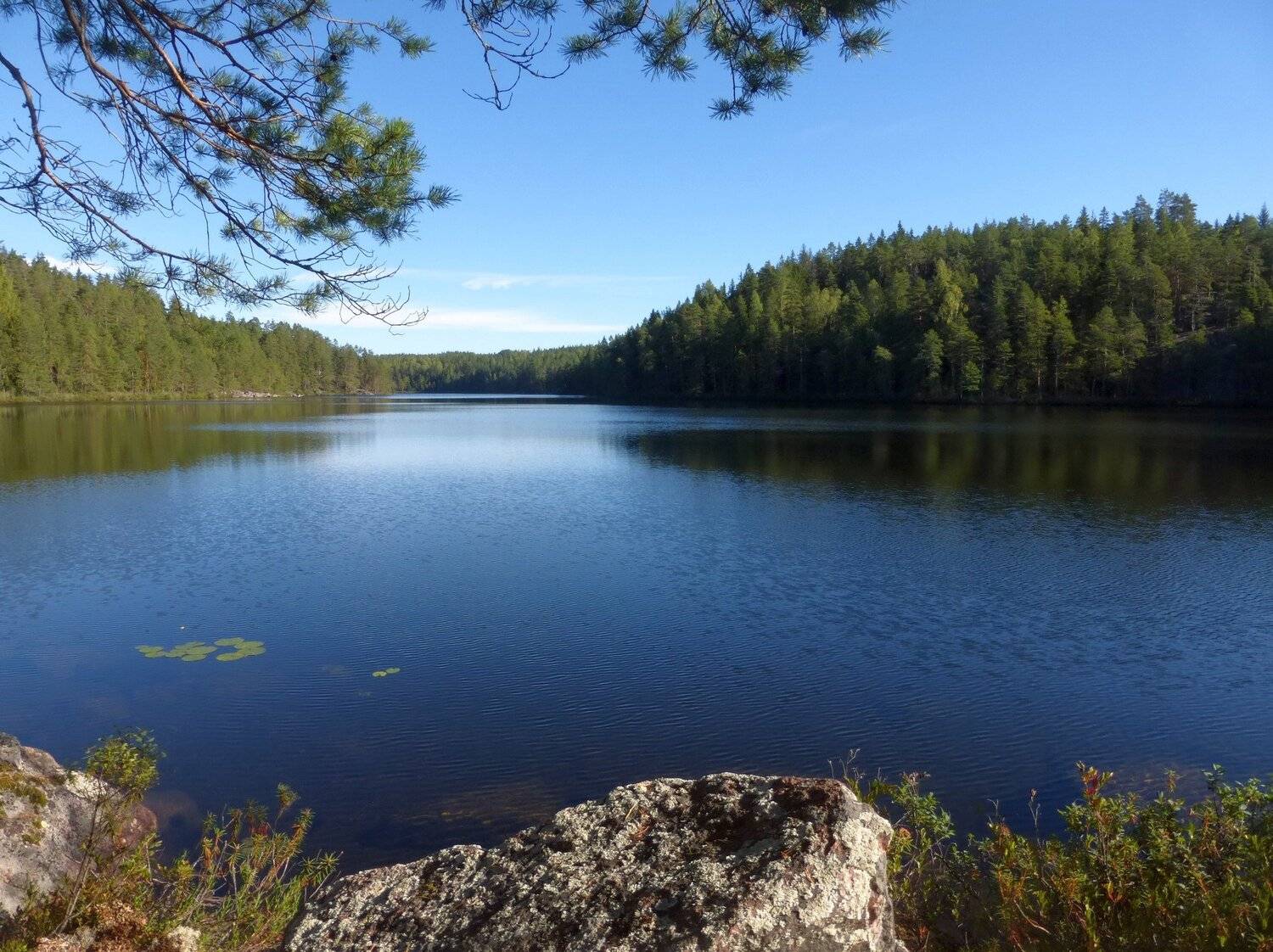 Синие воды озера