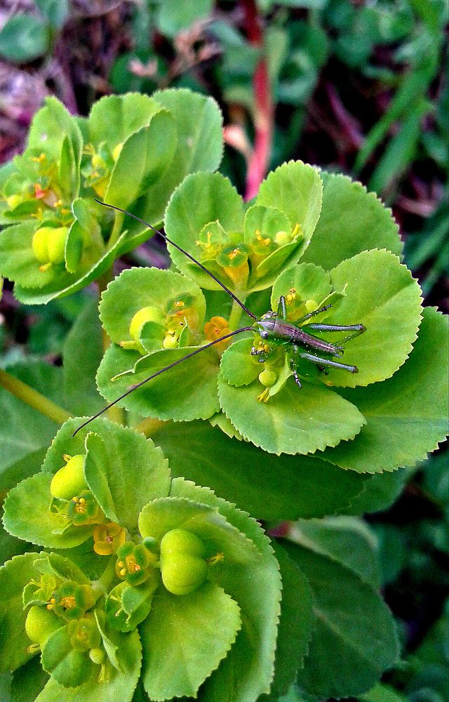 Photograph by Hellen