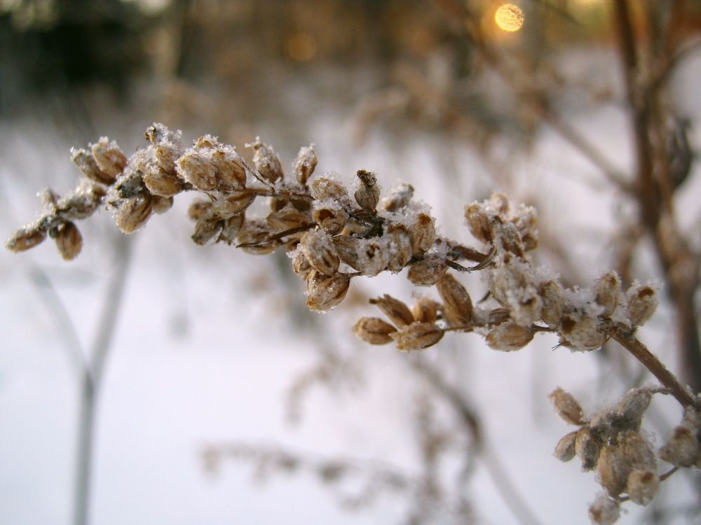 Photograph by Анюта