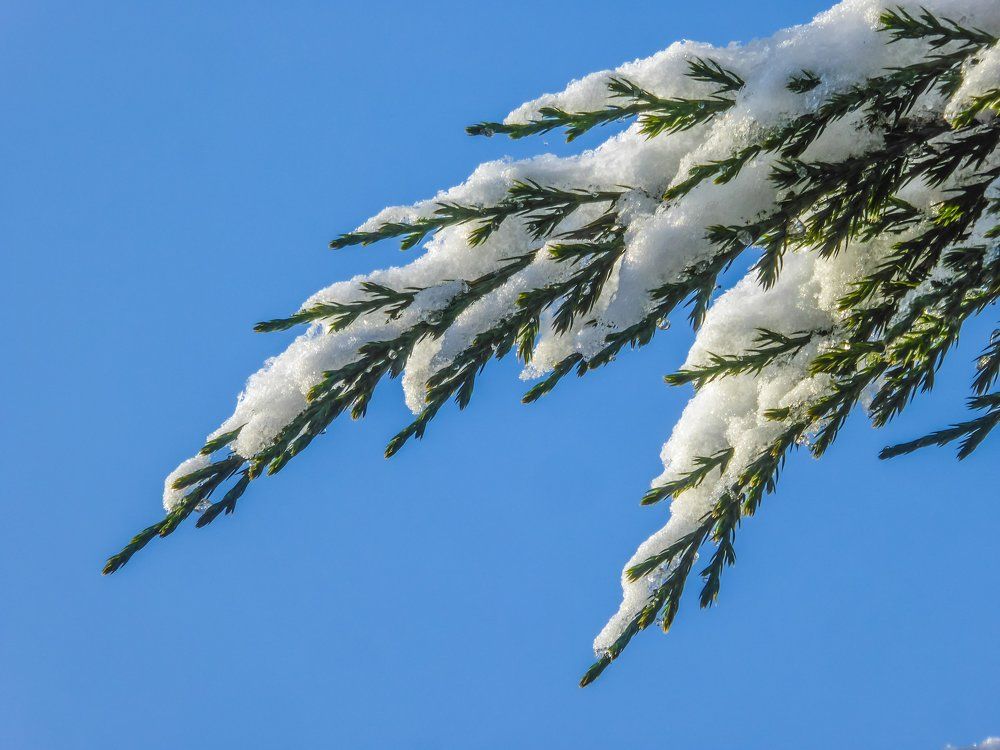 Январское небо.