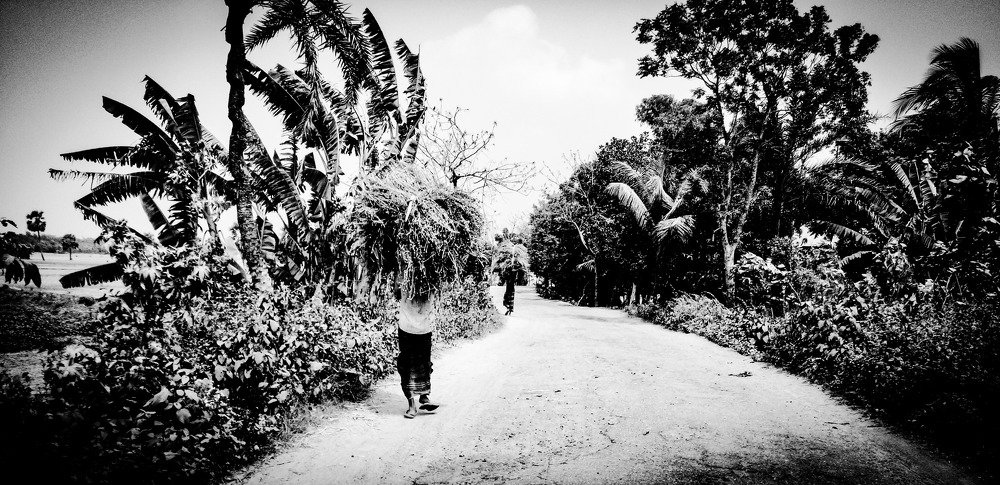 Natural beauty of Bangladesh