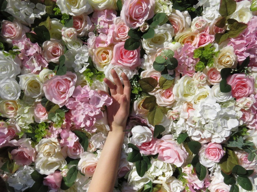 Photograph by ЕКАТЕРИНА БРАГИНА