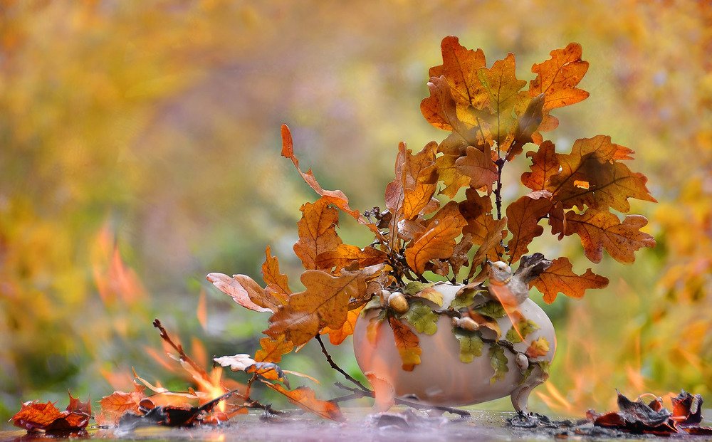 Осень,в небе жгут корабли
