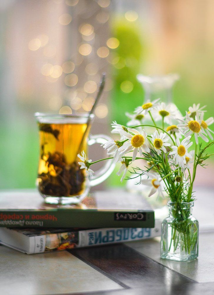 Photograph by Чернякова Анна