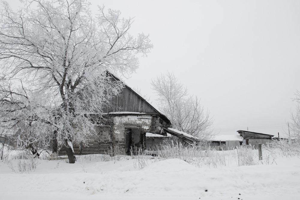 Жизнь без людей.