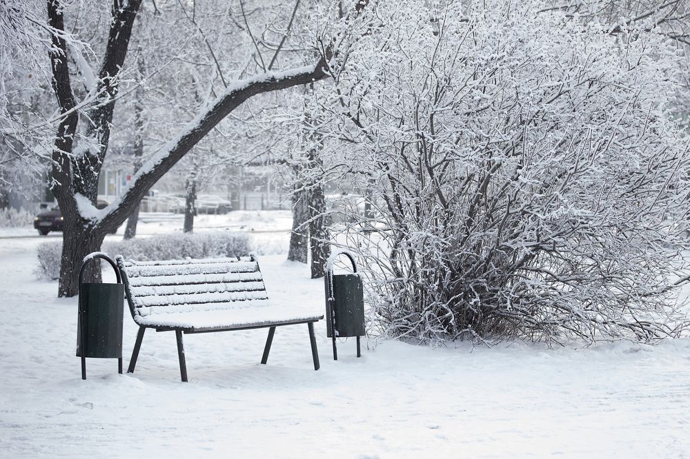 Зимняя сказка