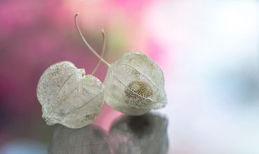 Влюблённые...