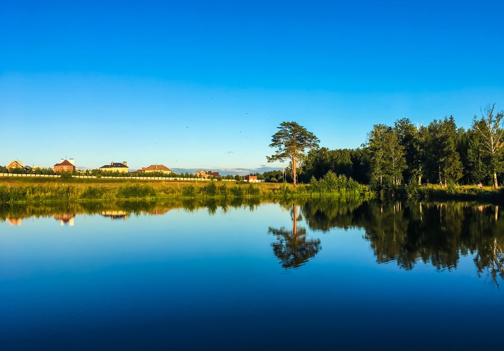 Зеркало природы