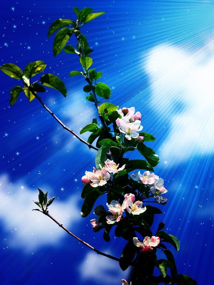 Пробуждение весны