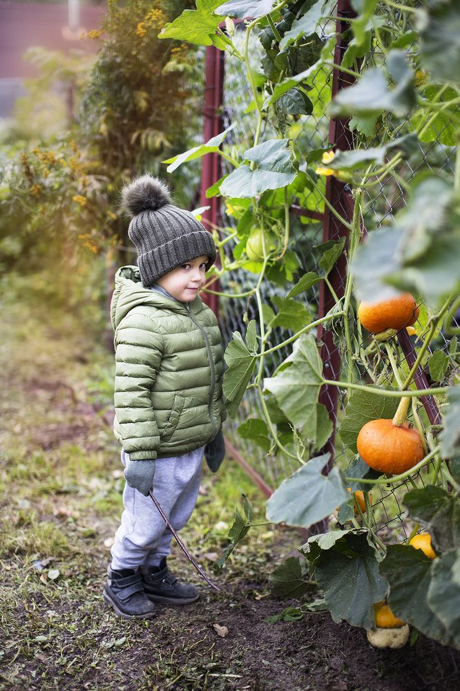 милый шкодник