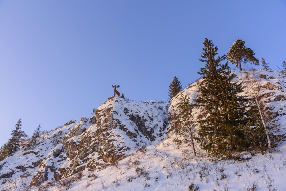 Вечерний зов безмолвный