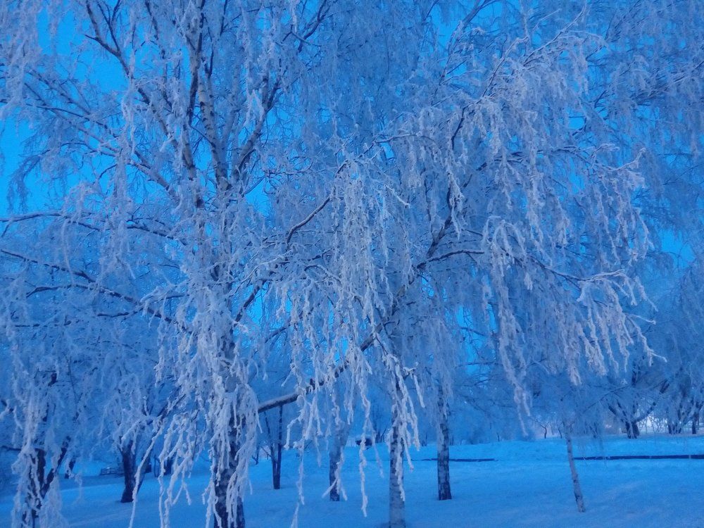 Синий туман