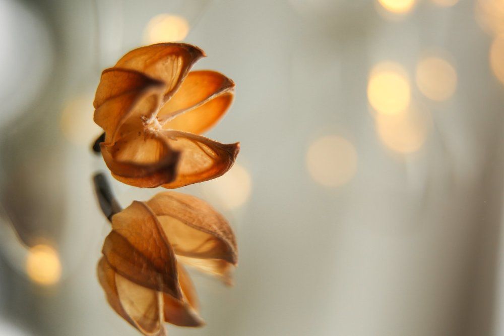 Photograph by Evgeniya Biriukova