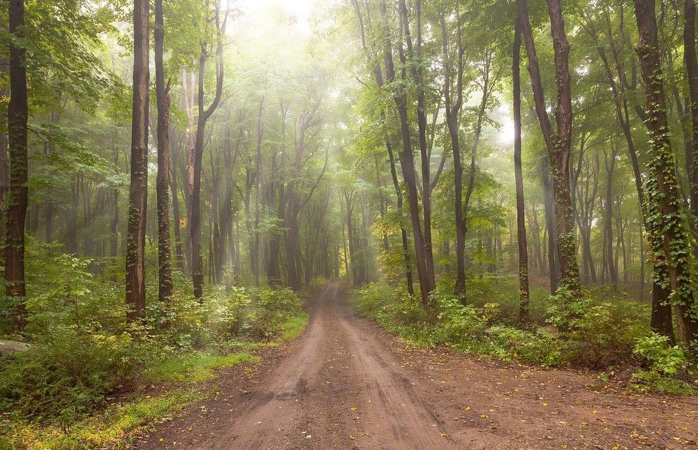 Ранняя осень...