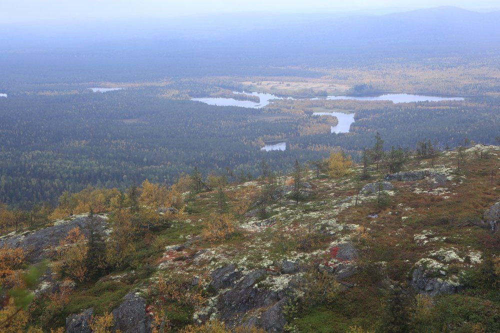 вслед за туманом