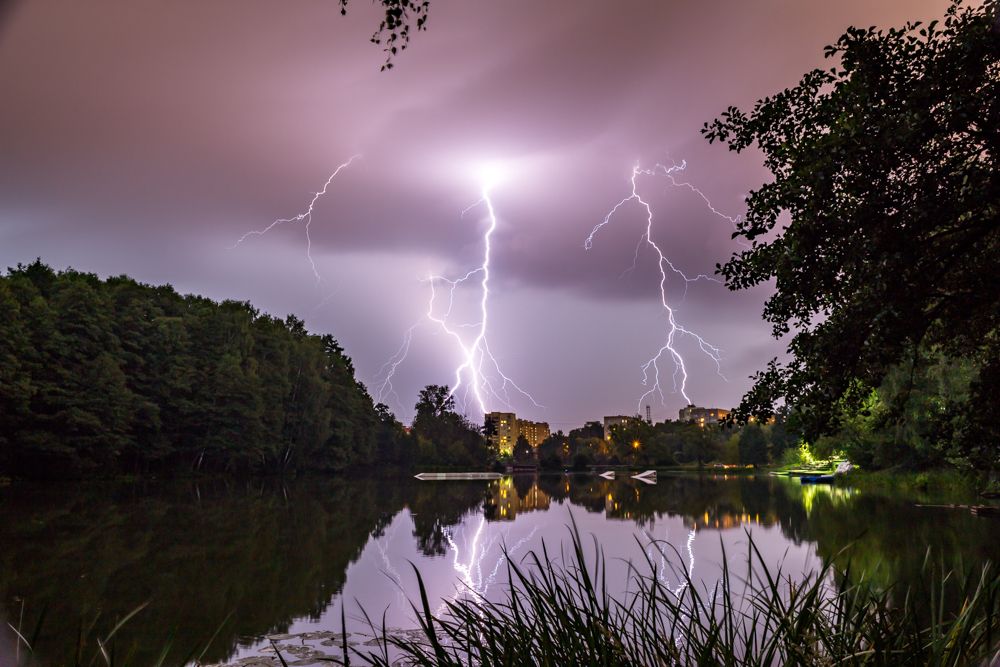 Инопланетные гости