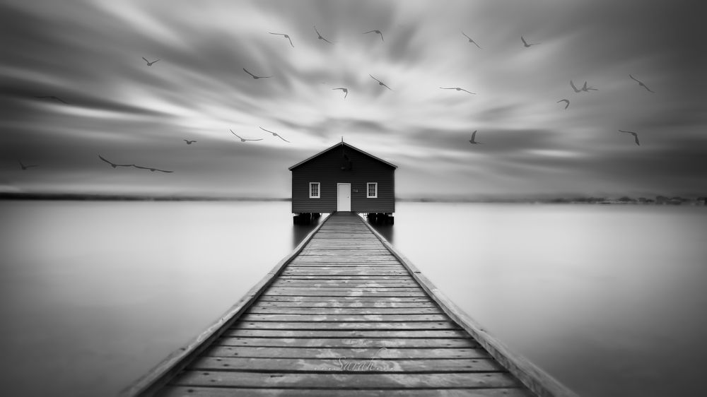 Colorless dream house