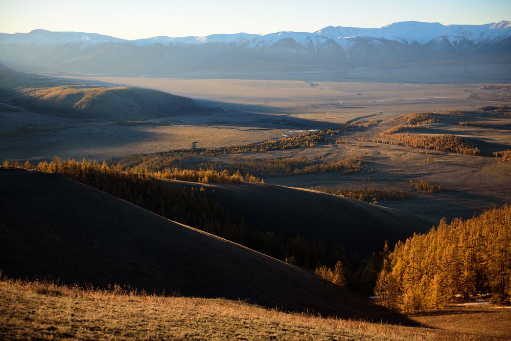Утро в Курайской степи