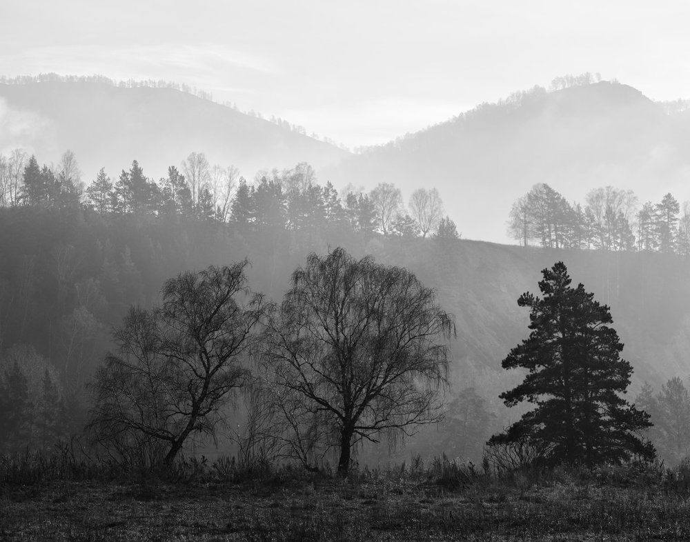 Туманное утро в Элекмонаре