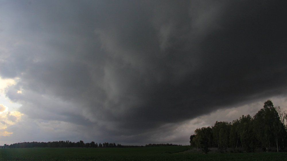 Тишина перед бурей