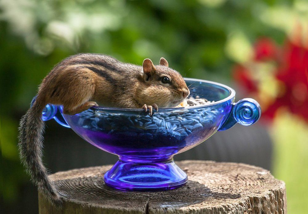 Это всё моё!