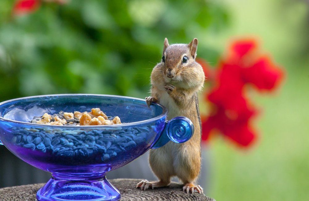 Ну что грустишь, бродяга,попробуй унести...