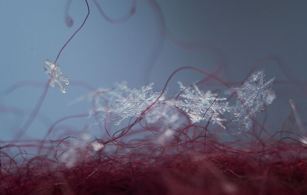 Photograph by Воинкова Ирина